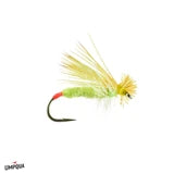 Hairwing Yellow Sally