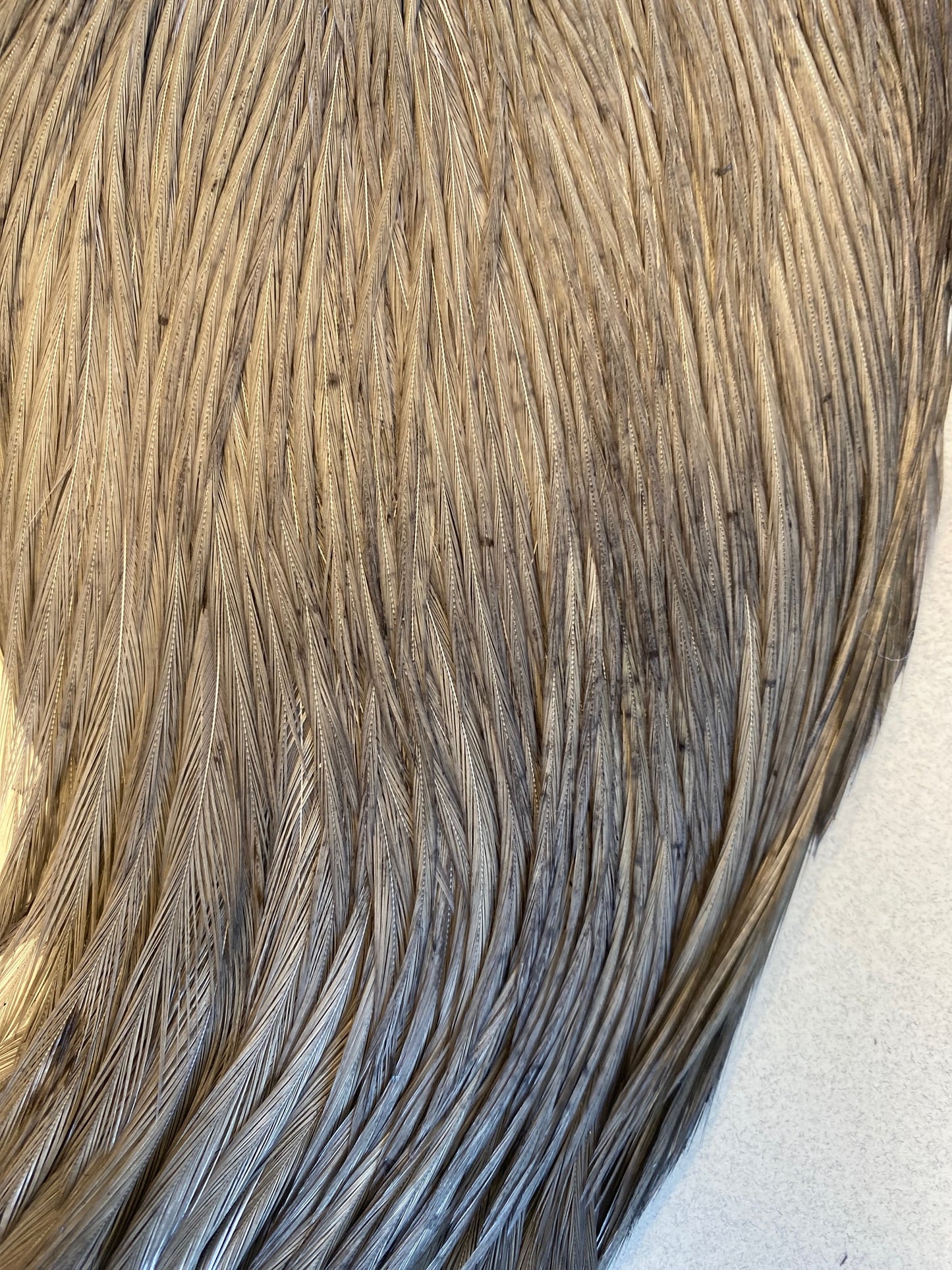 Keogh Tyers Grade Cape