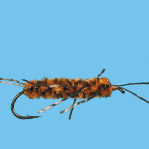 Girdle Bug. (AKA) Pat's Rubber Legs