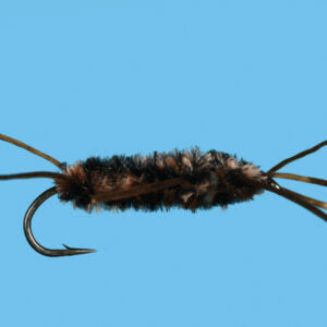 Girdle Bug. (AKA) Pat's Rubber Legs
