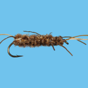Girdle Bug. (AKA) Pat's Rubber Legs
