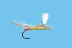 Yellow Sallie Parachute