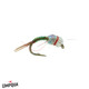 Rainbow Warrior