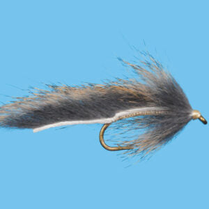 Squirrel Leech