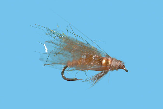 Bead Head Diving Caddis