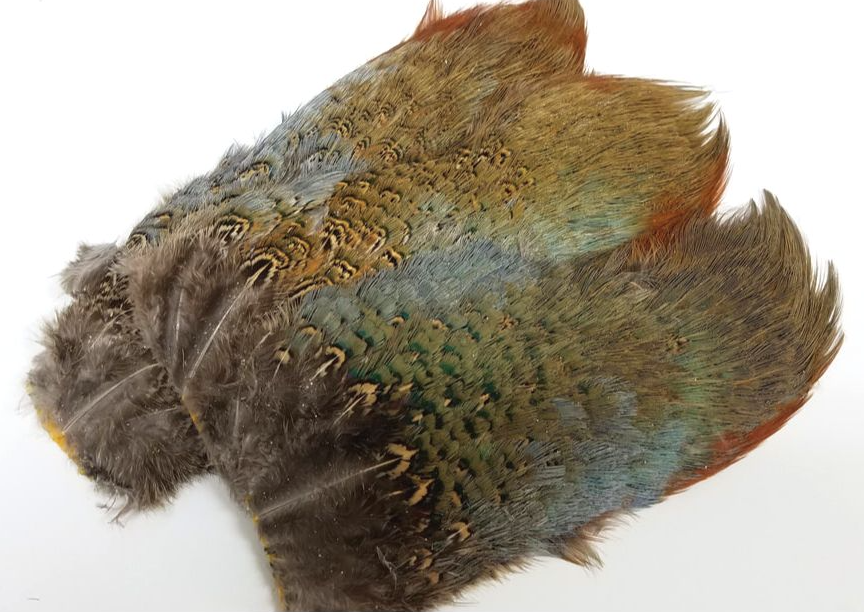 Fish Hunter Ringneck Rump Patch