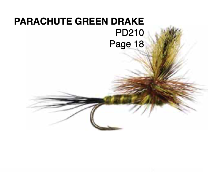 Eastern Green Drake