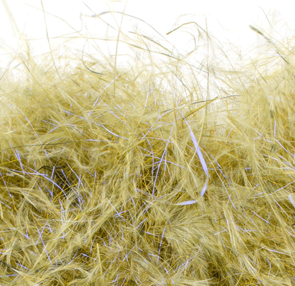 Senyo's Dirty Bird Dubbing