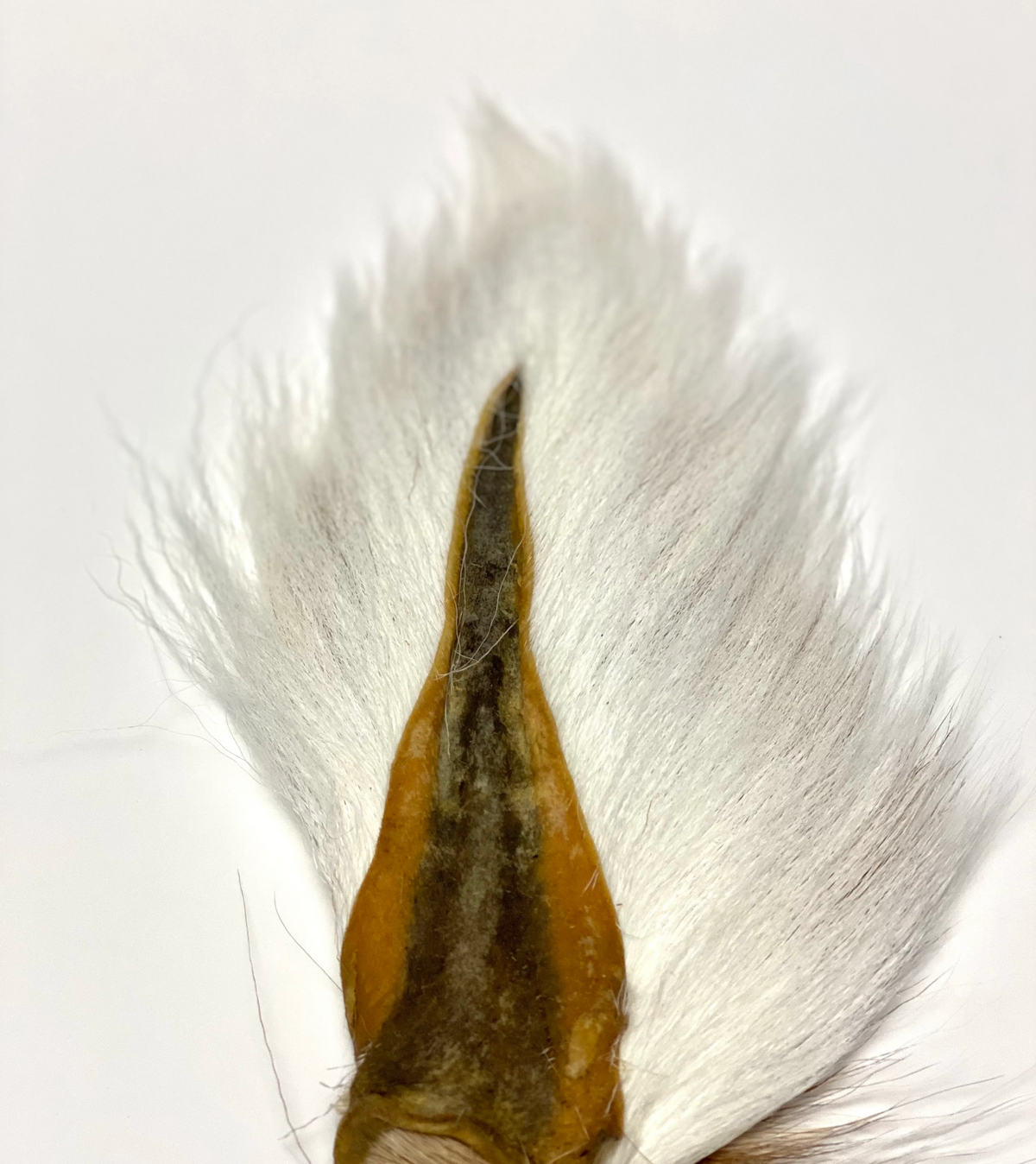 El Presidente Grade Buck Tail