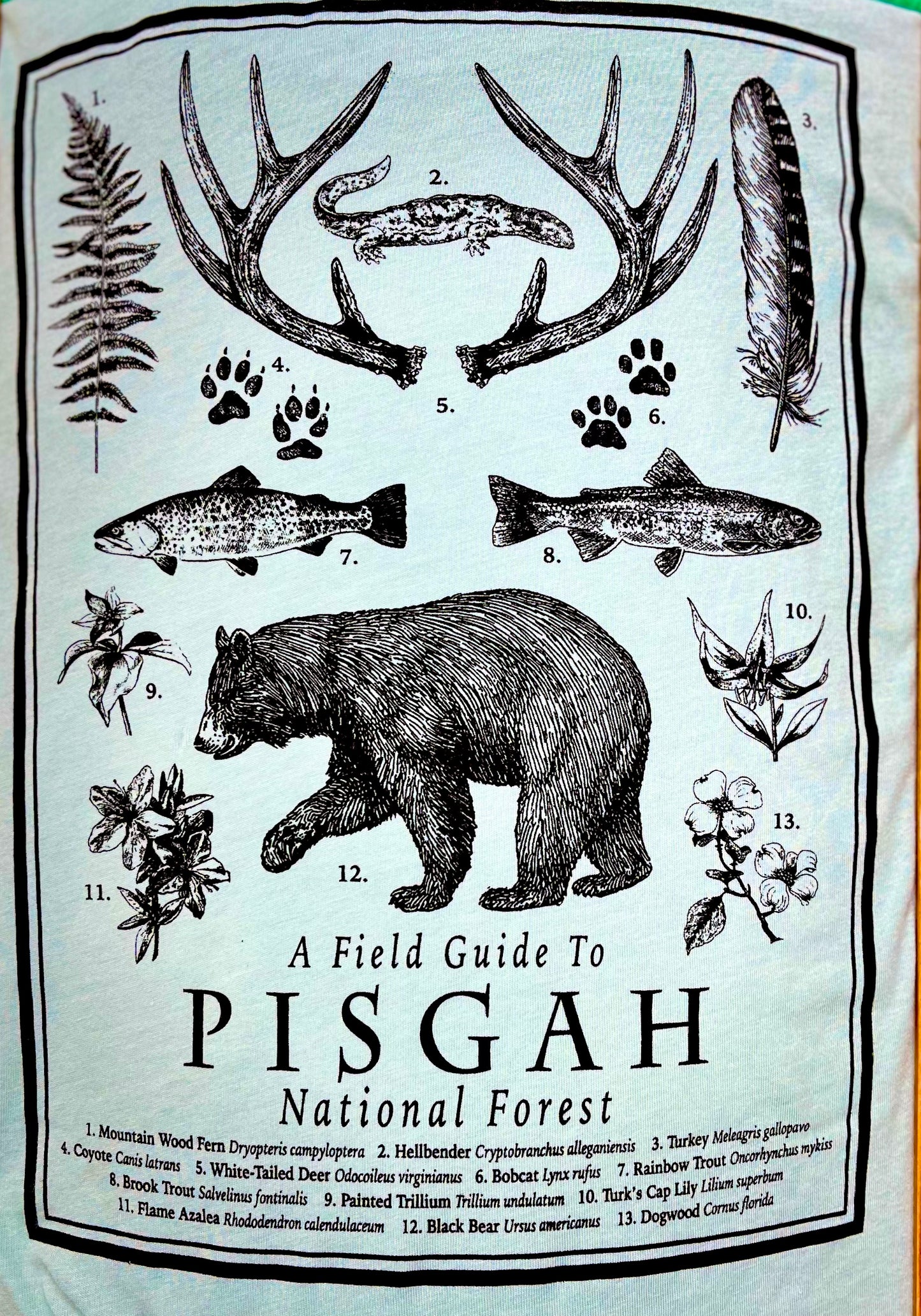 Field Guide SST