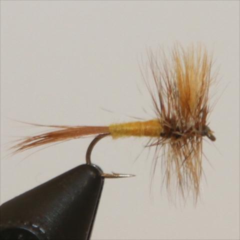 March Brown