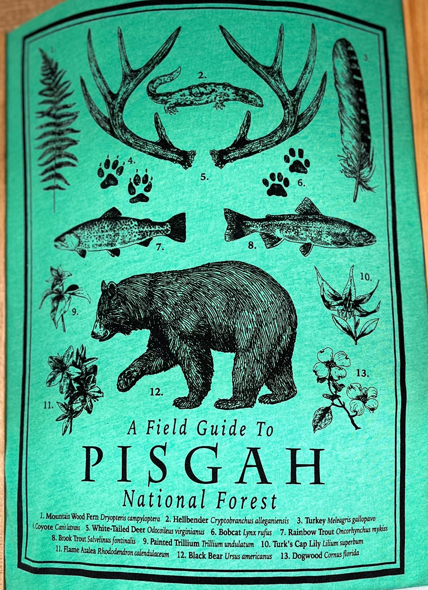 Field Guide SST