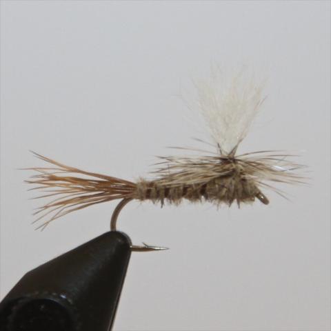 Parachute Hare's Ear olive