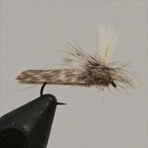 Parachute Caddis
