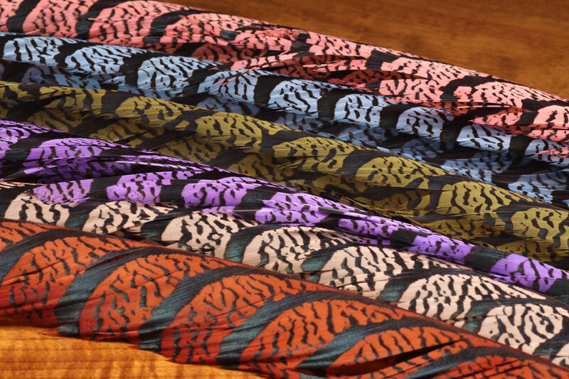 Lady Amherst Center Tail Natural