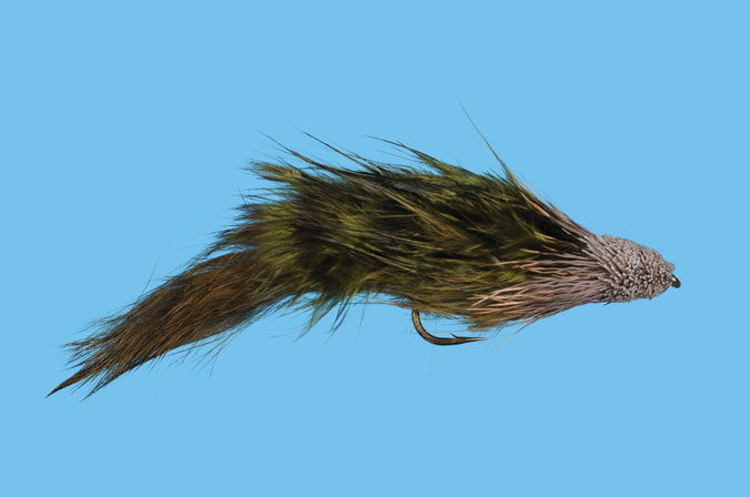 Mccune's Sculpin
