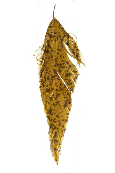 MFC Mottled Schlappen