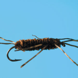 Girdle Bug. (AKA) Pat's Rubber Legs