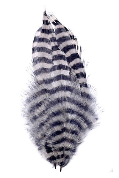 Barred Schlappen