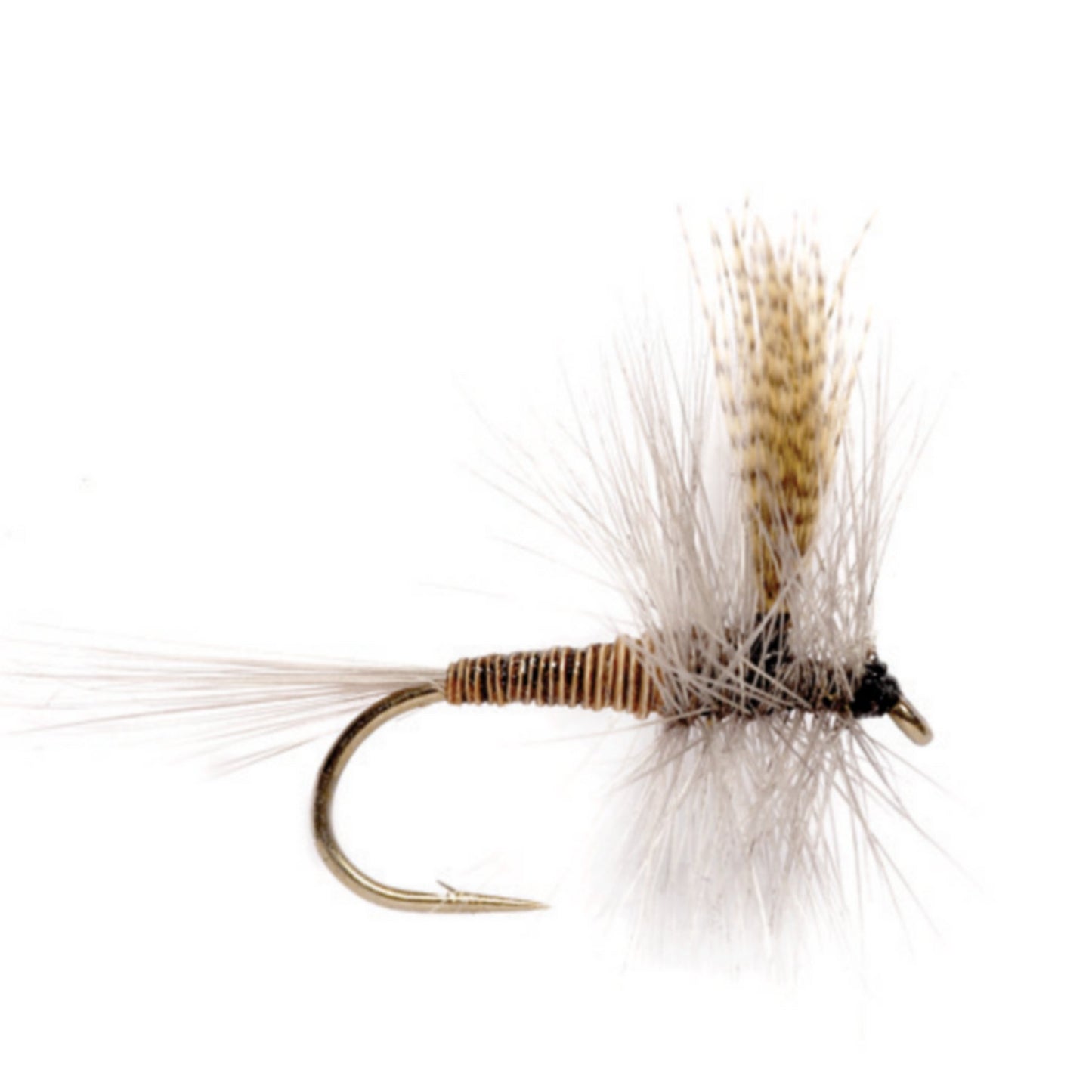 Red Quill