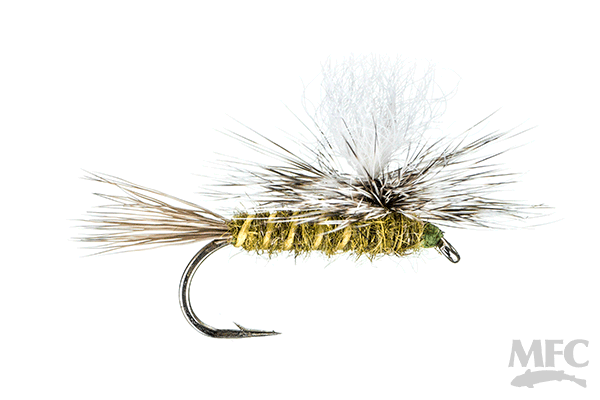 Parachute Hare's Ear