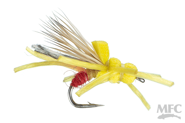 Half Drowned Yellow Sally