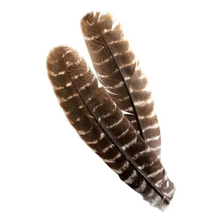 Ozark Turkey Quill Barred