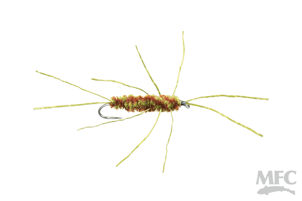 Girdle Bug. (AKA) Pat's Rubber Legs