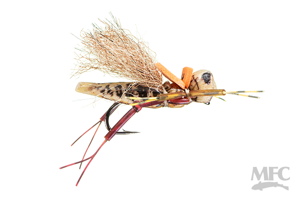 Henneberry Hopper