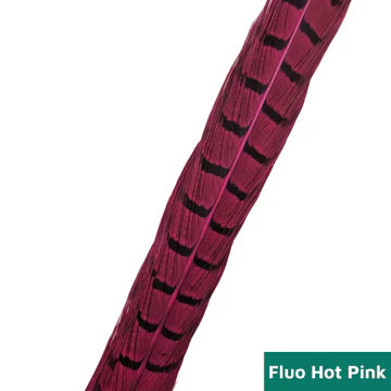 Ringneck Pheasant Center Tails