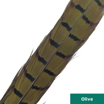 Ringneck Pheasant Center Tails