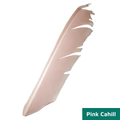 Nature's Spirit Turkey Biot Quills