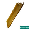 Nature's Spirit Turkey Biot Quills