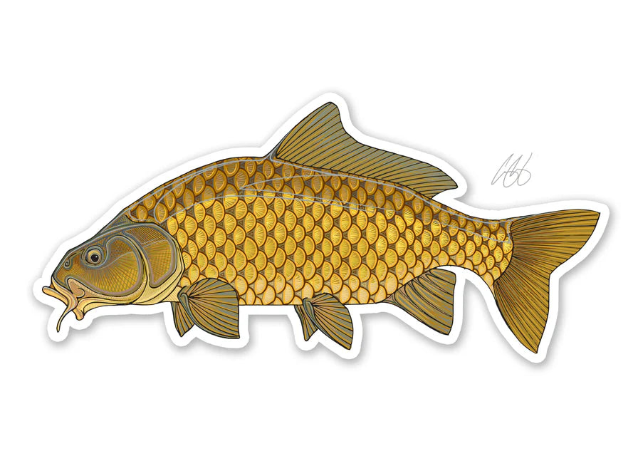 Casey Underwood Decals