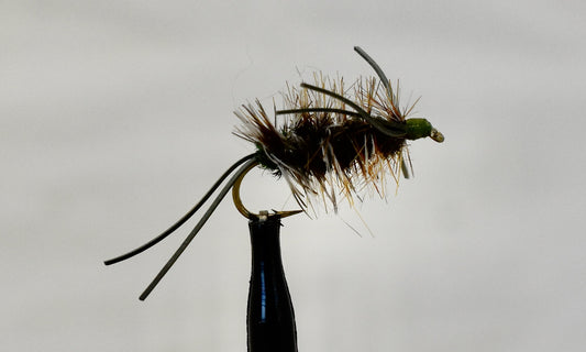 The Bug