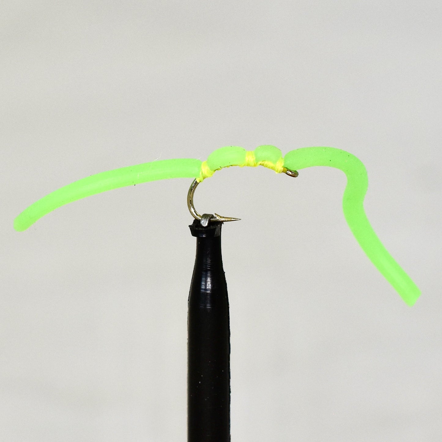 Squirmy Worms