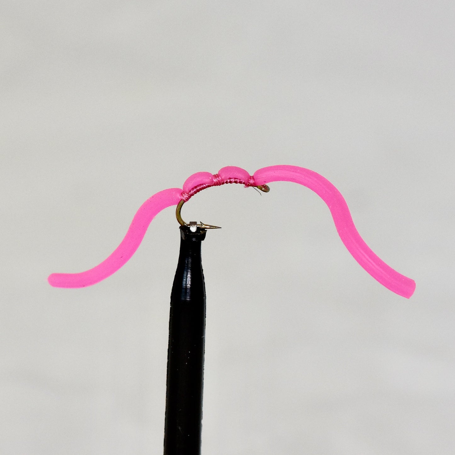 Squirmy Worms