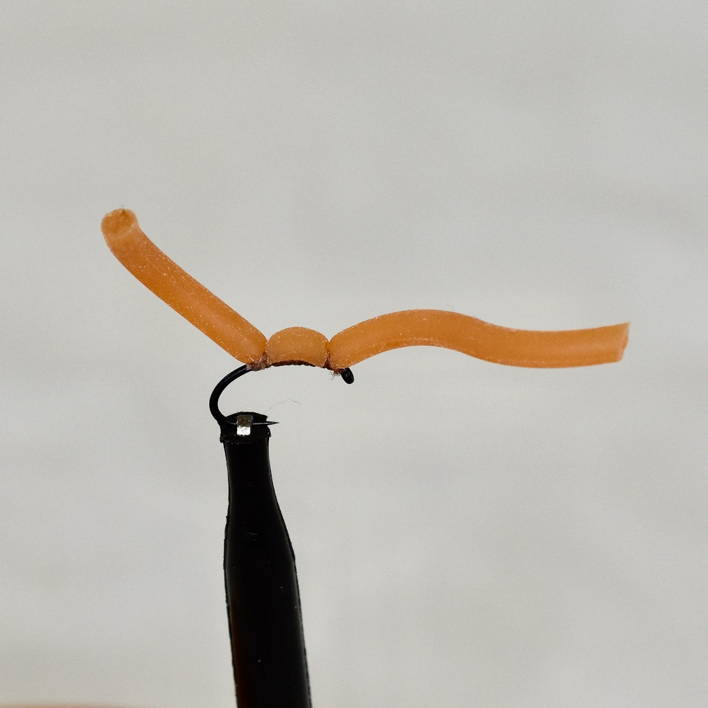 Squirmy Worms