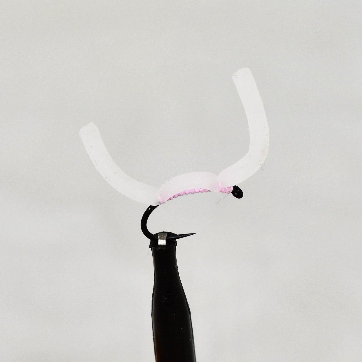 Squirmy Worms