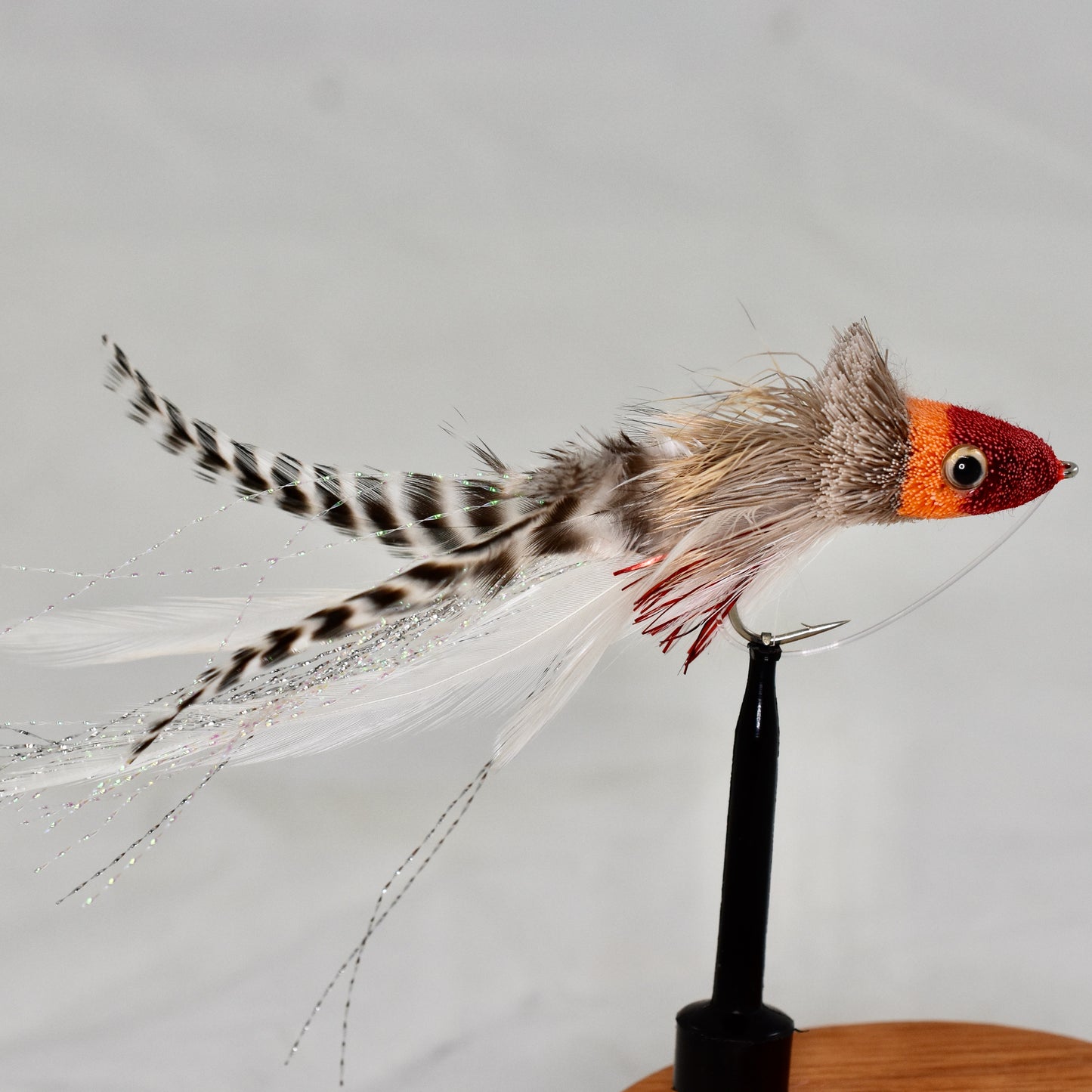 Swimming Baitfish (AKA Dahlberg Diver)
