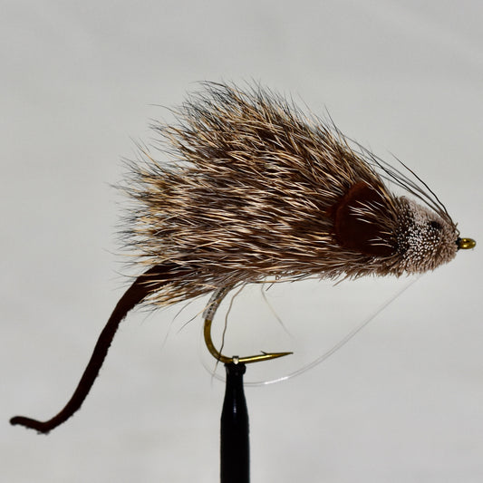 Mouse Rat
