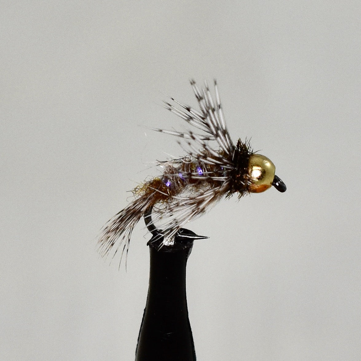 Anderson's Bird of Prey