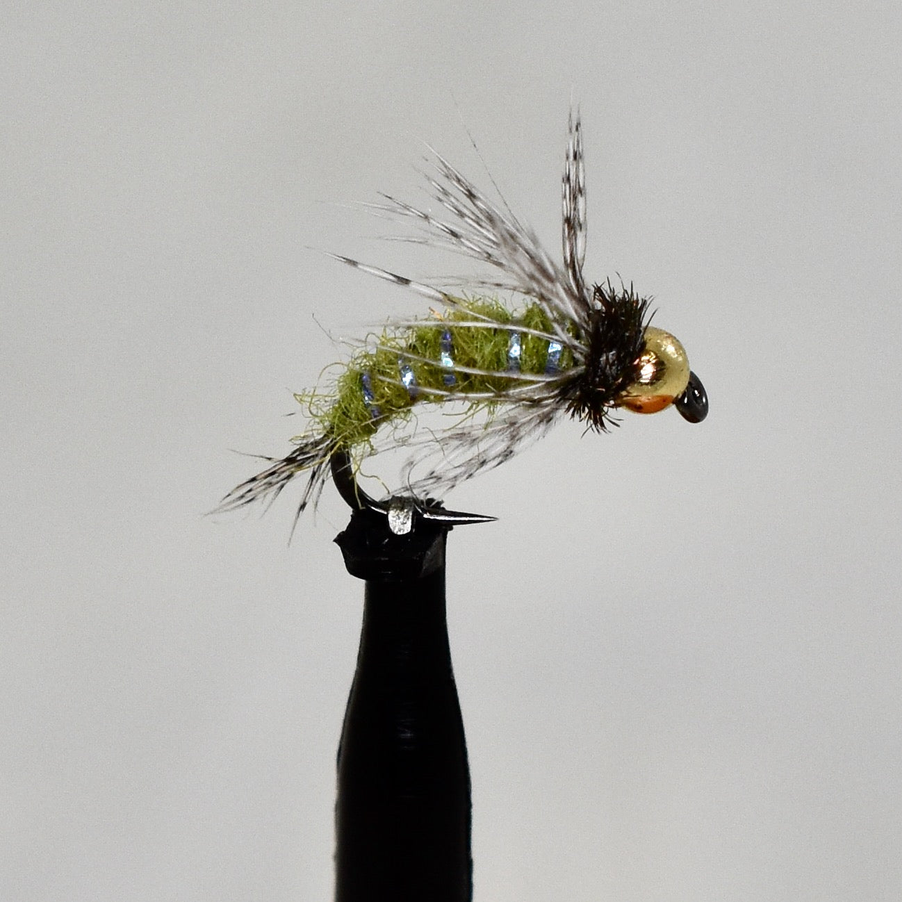 Anderson's Bird of Prey