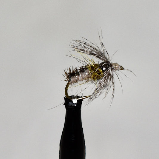 Trapper Nymph