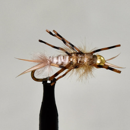 Tungsten Yellow Sallie