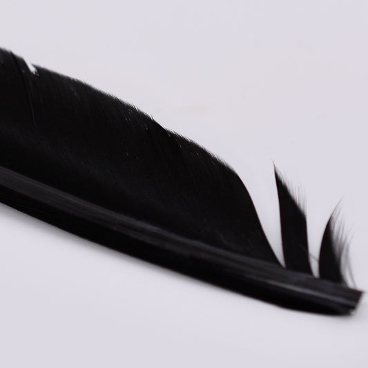 Duck Quills