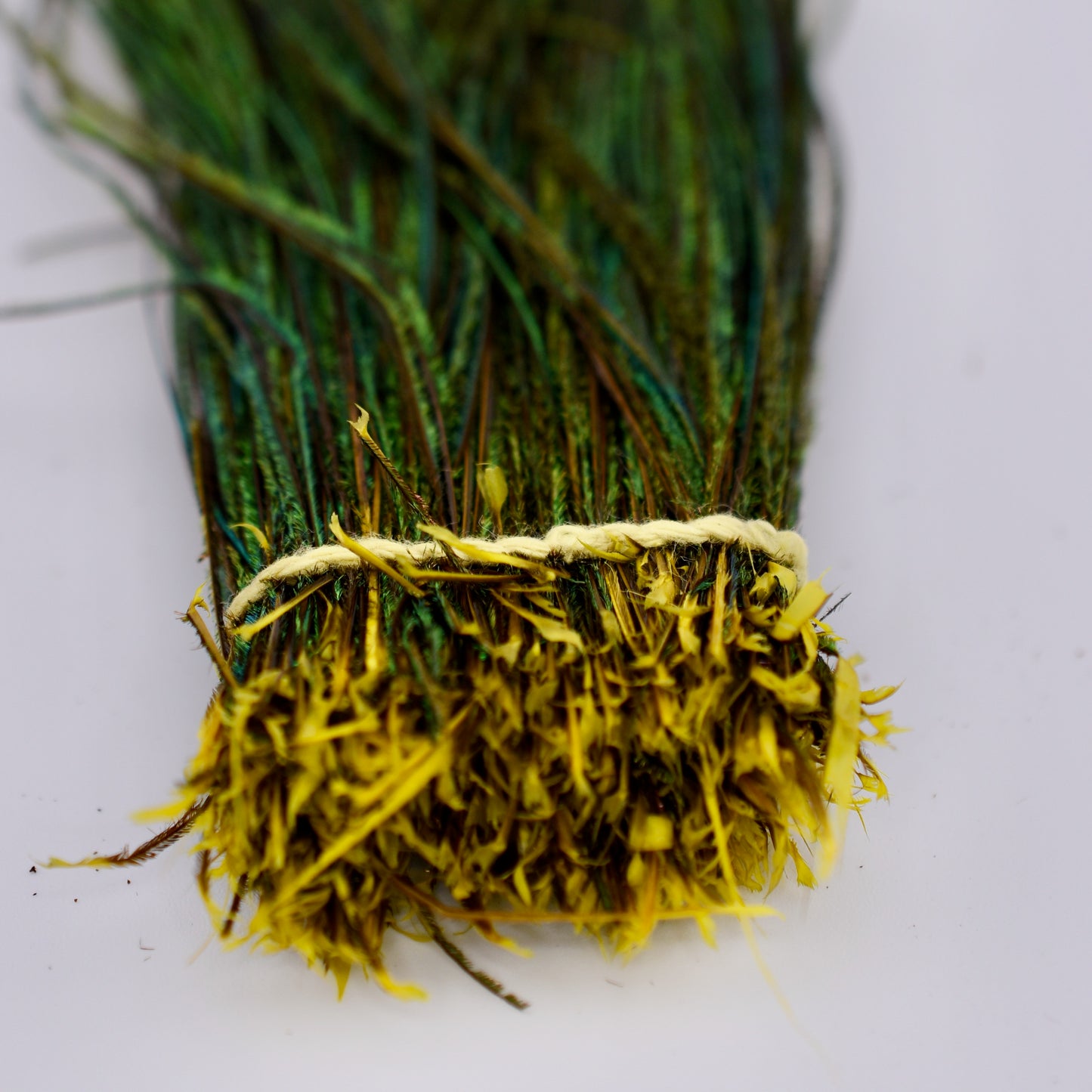 Dyed Peacock Strung Herl