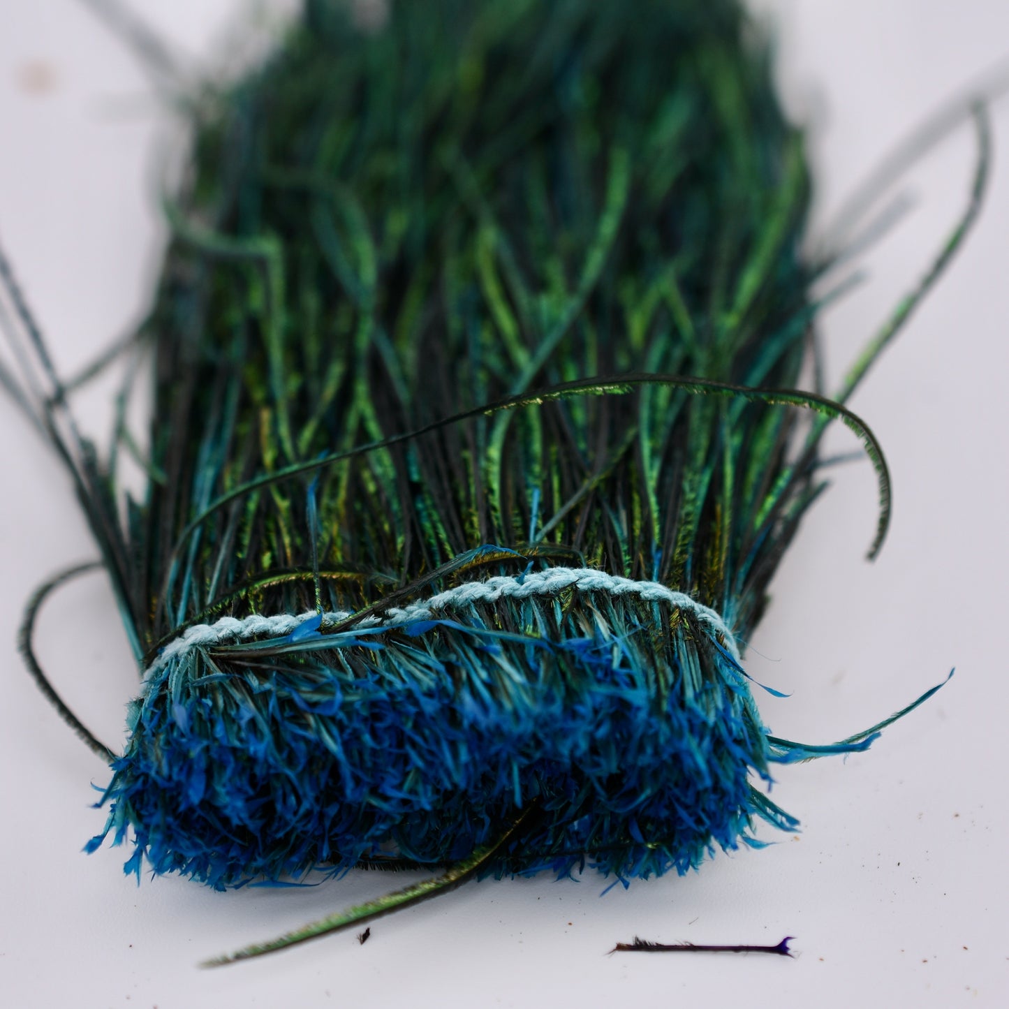 Dyed Peacock Strung Herl