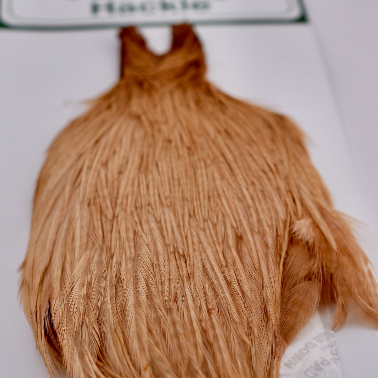 Ewing Hackle #1 Cape