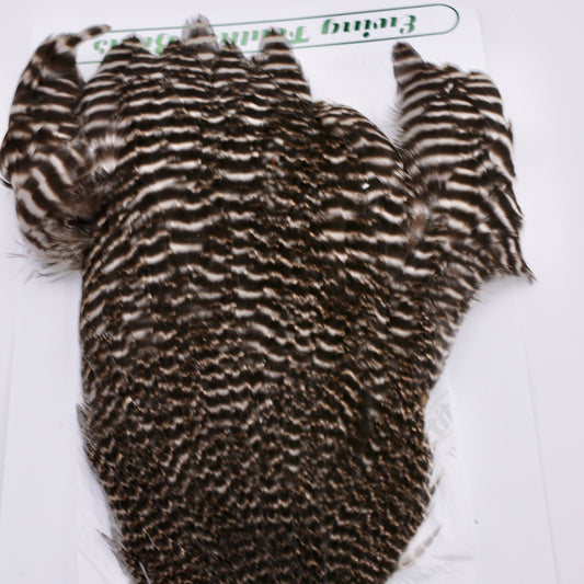 Ewing Hen Cape